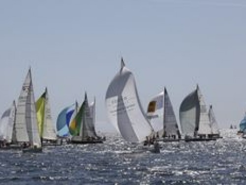 Regatta at Trinité Sur Mer