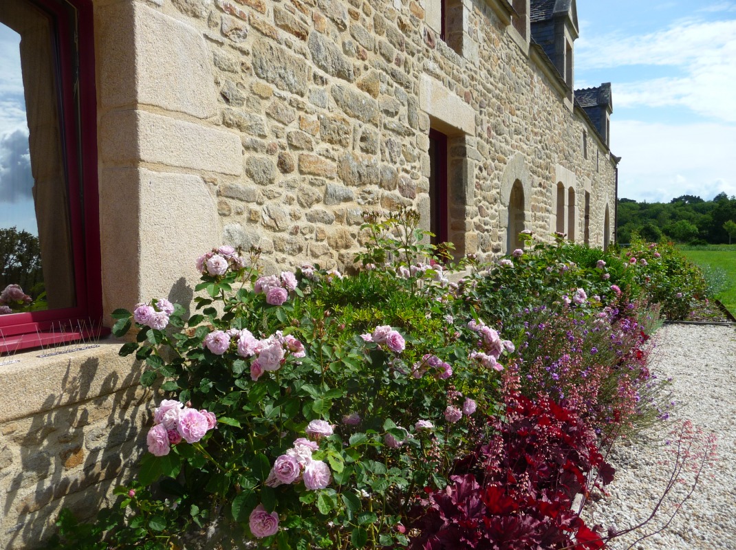 flowery stones